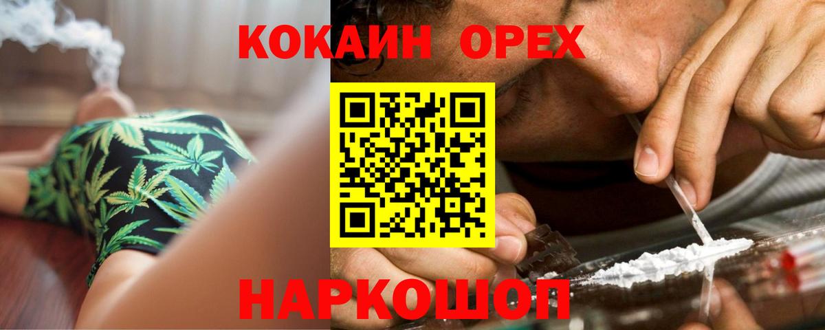 APVP Тара