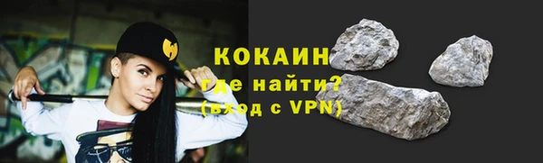 соль ск Алексин