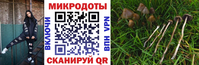 Псилоцибиновые грибы MAGIC MUSHROOMS  Тара 