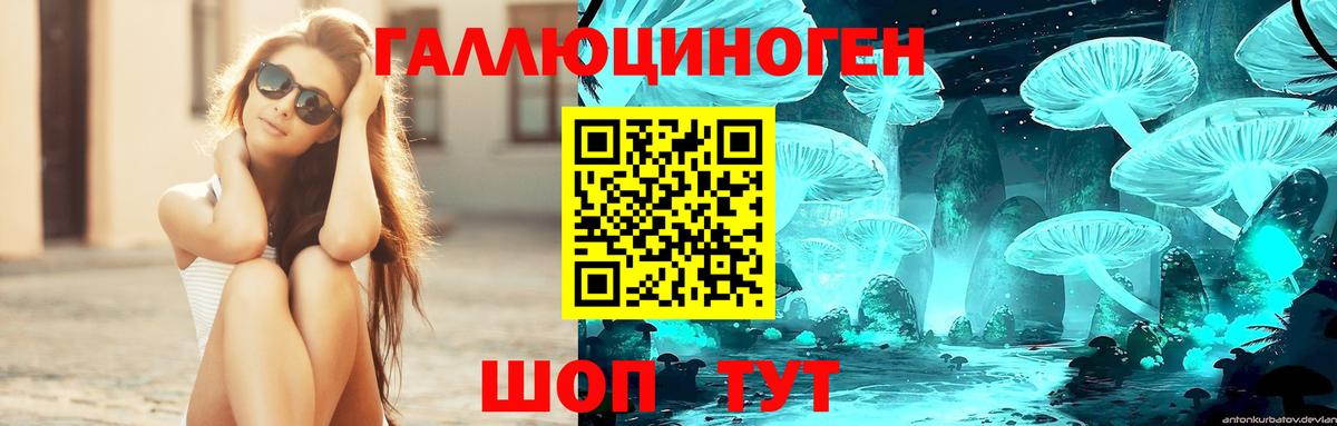 Псилоцибиновые грибы GOLDEN TEACHER  Галлюциногенные грибы Magic Shrooms  Вход с VPN  Тара 