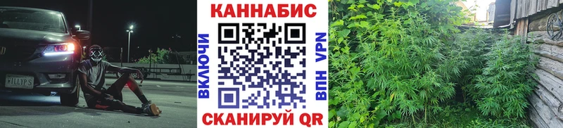 закладка  Тара  Канабис SATIVA & INDICA 