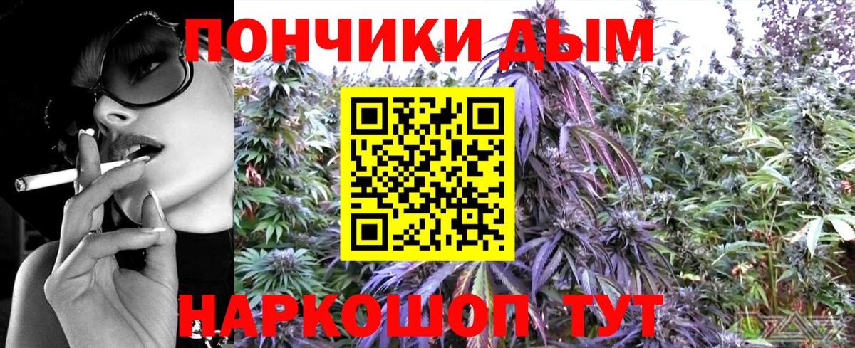 Тара  МАРИХУАНА ГИДРОПОН  Вход с VPN  Канабис план  Каннабис Bruce Banner 